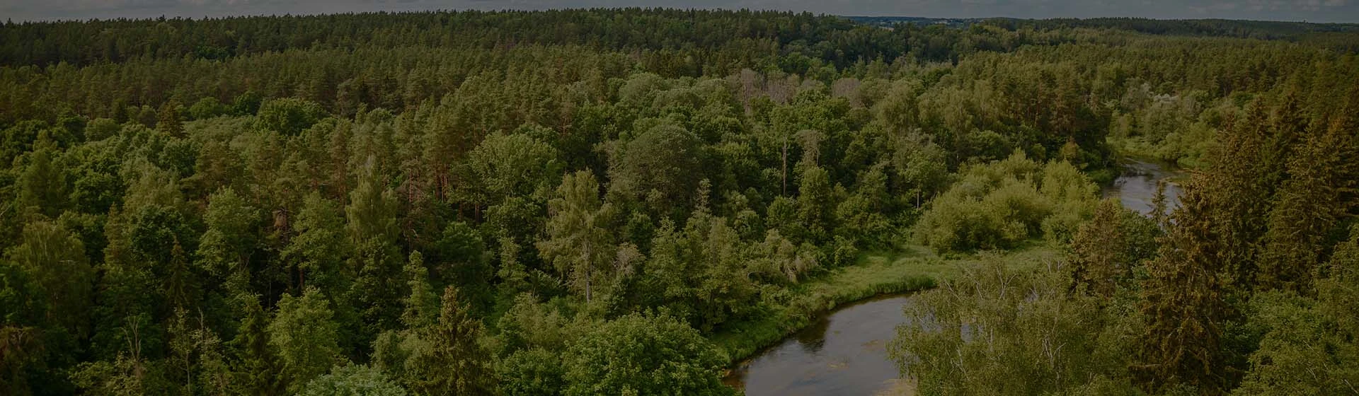 Arial image of woods and lake near the office of Sycamore Family Dentistry in VA